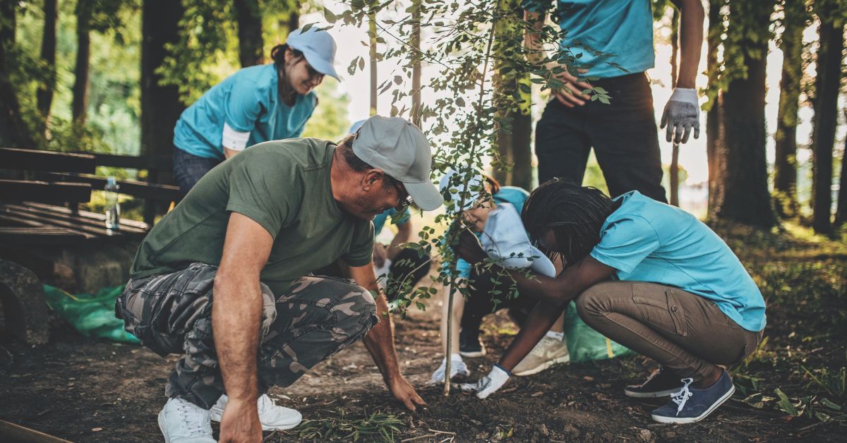 Planting for Tomorrow Program funding opportunity