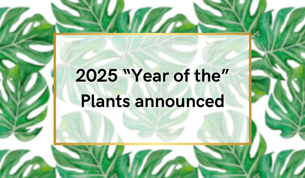 2025 "Year of the" plants announced