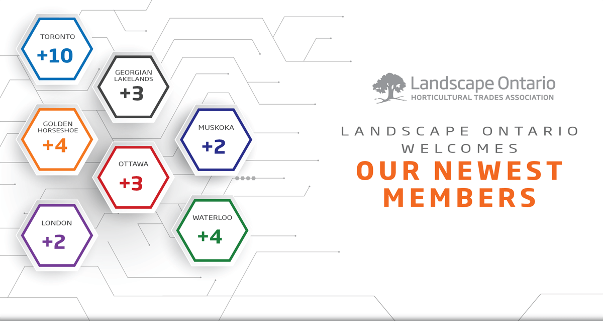 New members November 2025